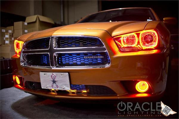 Front end of a Dodge Charger with amber LED headlight and fog light halo rings installed.