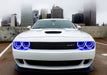 Front end of a white Dodge Challenger with blue LED headlight halo rings installed.