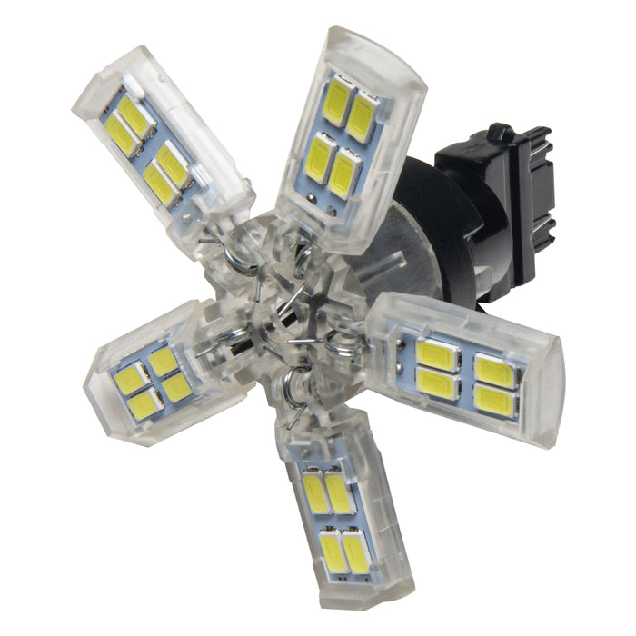 ORACLE 3157 15 SMD 3 Chip Spider Bulb (Single)