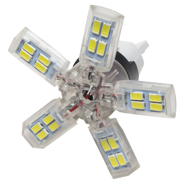 7440 24 SMD 3 Chip Spider Bulb (Single) - Cool White