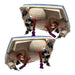 Rear view of 2001-2011 Ford Ranger Pre-Assembled Halo Headlights