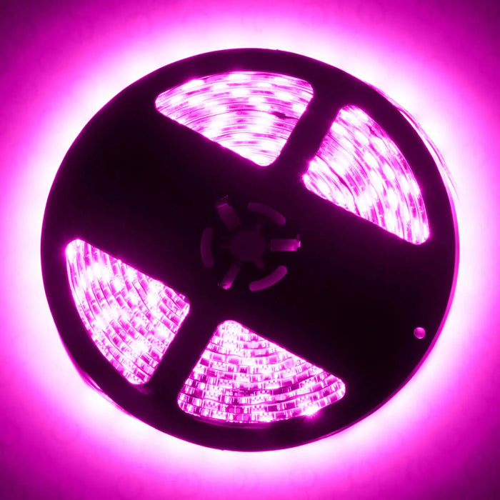 ORACLE Exterior LED Flexible Strip with pink LEDs.