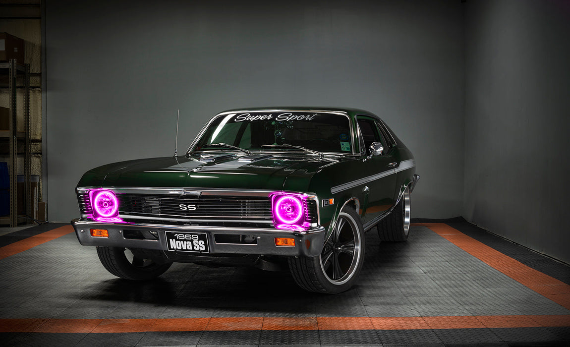 SS Nova with Pre-Installed 7" H6024/PAR56 Sealed Beam Halo installed, and pink halos on.