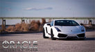2004-2012 Lamborghini Gallardo ORACLE Halo Kit