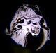 GOBO Trex logo