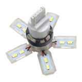 ORACLE 7440 24 SMD 3 Chip Spider Bulb (Single) - Cool White