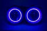 2000-05 Ford Focus SVT/03-04 Mustang SVT/05-07 Escape Fog Lights - ORACLE Purple U/V LED Halos