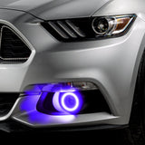 Close-up of mustang with purple fog light halos